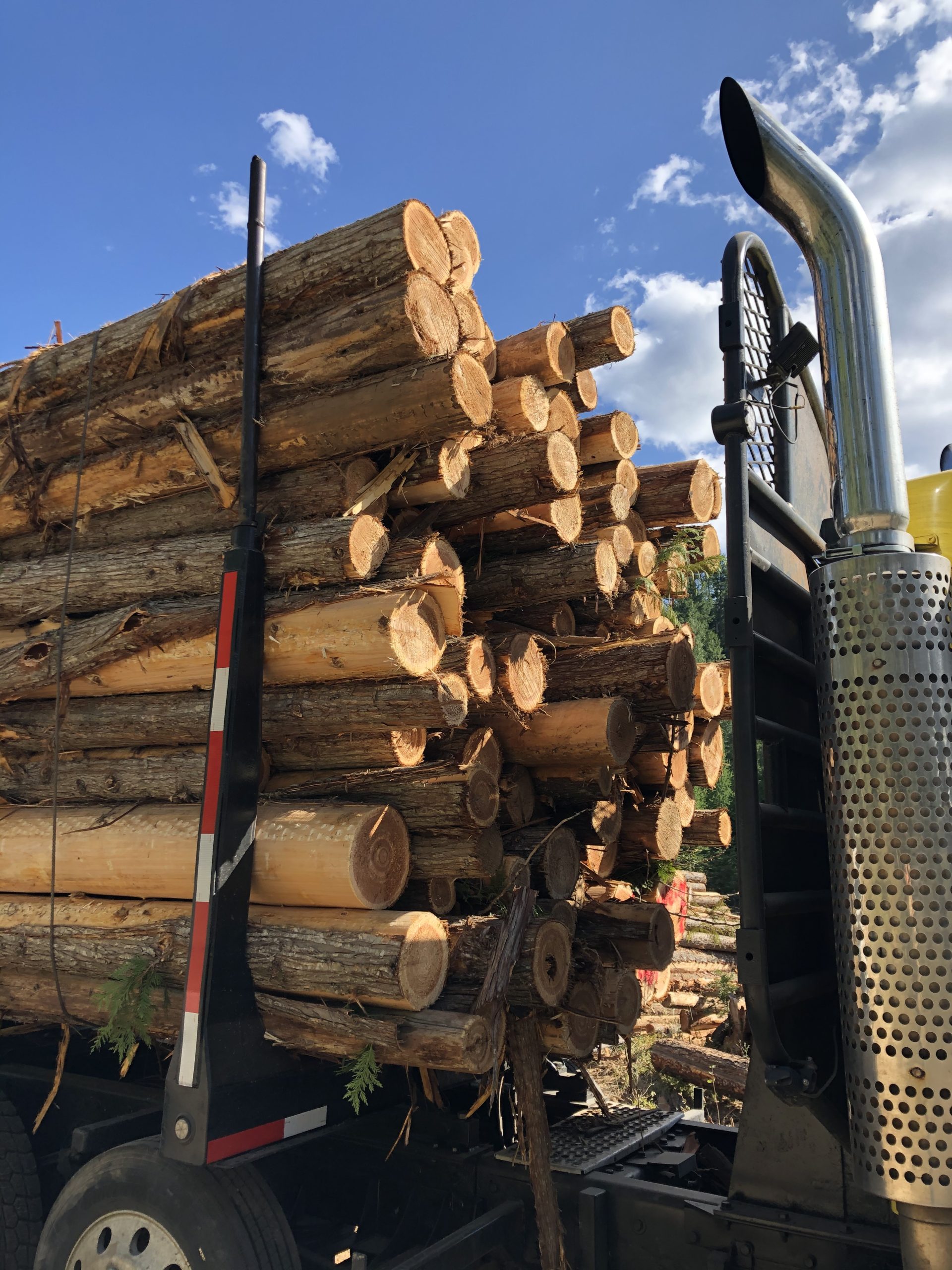 Full Logging Truck