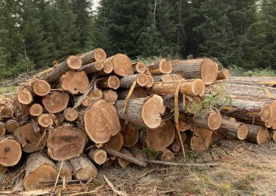 private owners land logging