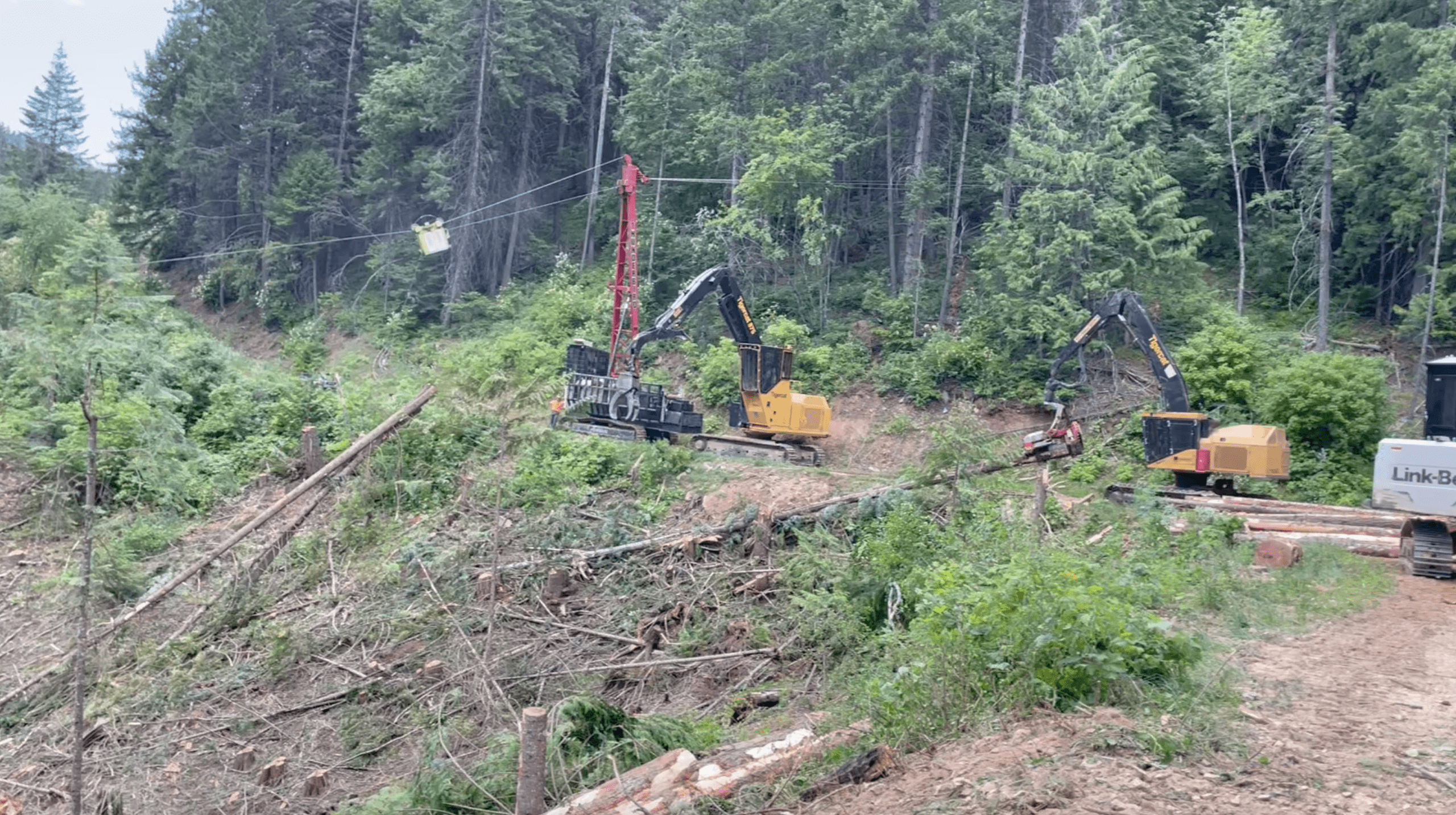 large logging project