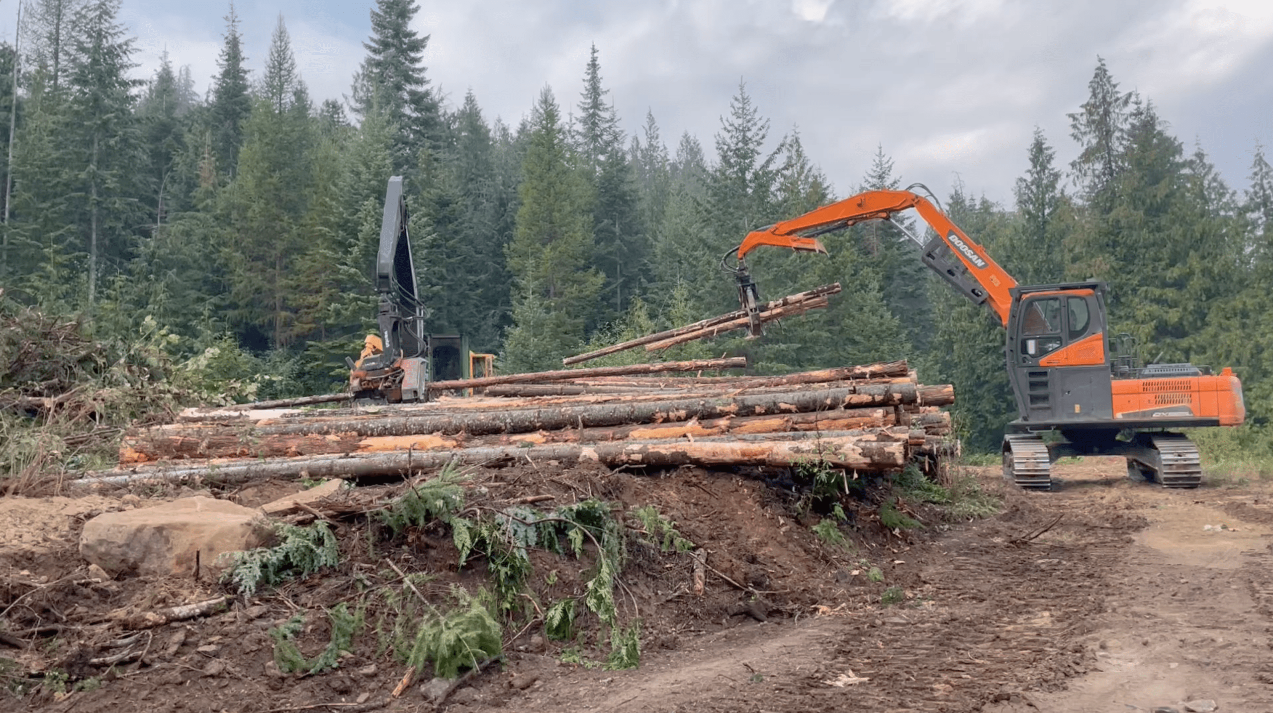 logging private property